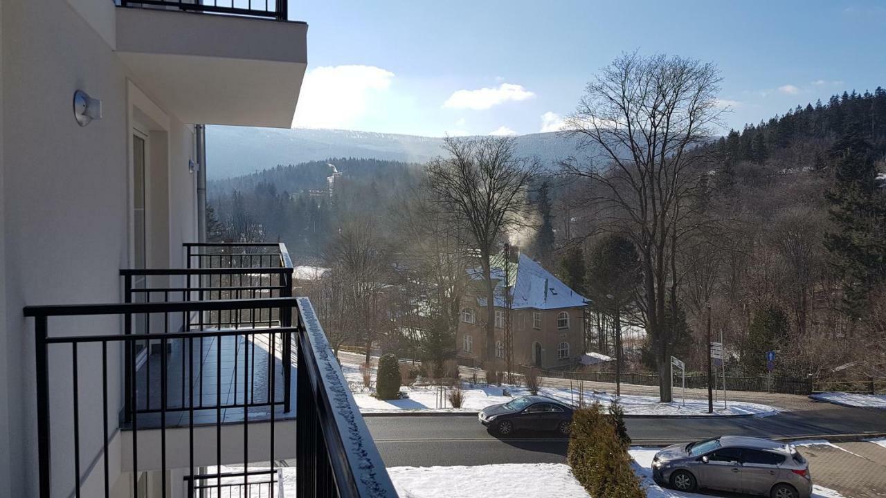 Apartament Juzo Villa Montain View Шклярска-Поремба Экстерьер фото